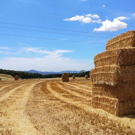 Masia Can Bachs Sant Pere de Vilamajor エクステリア 写真