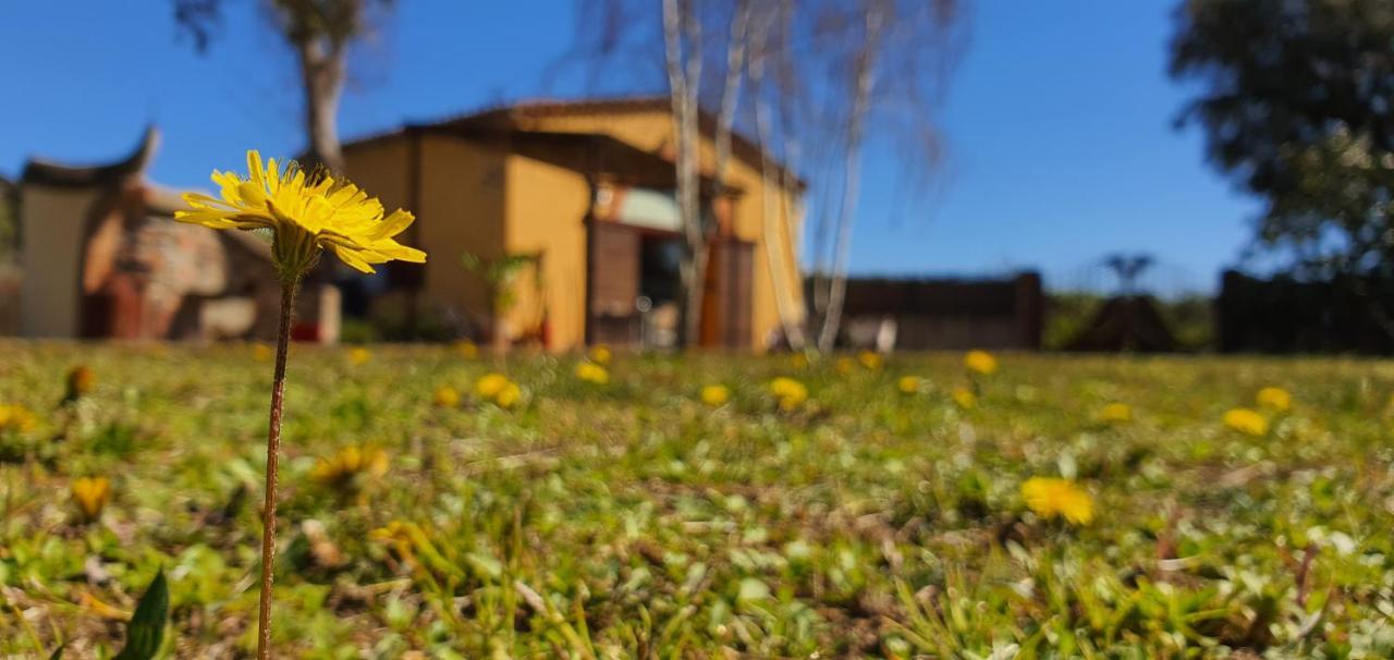 Masia Can Bachs Sant Pere de Vilamajor エクステリア 写真