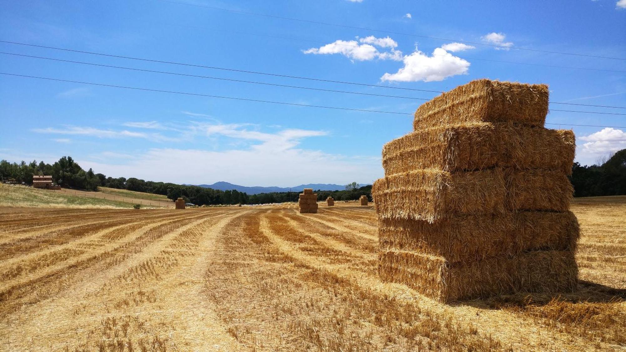 Masia Can Bachs Sant Pere de Vilamajor エクステリア 写真